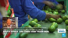 South Africa and China sign trade deal amid tariff row with the US