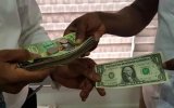 We have adequate dollars to meet market demand – BoG says