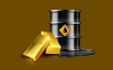 Summon Finance Minister, Governor over contradictory Gold for Oil reports- IERPP urges Parliament