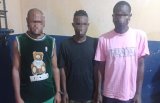 Tema Police bust human trafficking and cyber fraud syndicate in Ashaiman
