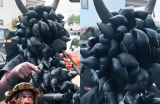 'I won’t spare even my mother or father' – Abrafour warns before Asantehemaa’s burial
