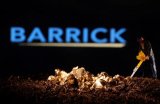 Barrick Mining removes Mali gold complex from 2025 output forecast, sources say