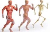 Why musculoskeletal (MSK) conditions are common in Ghana and how to prevent them using natural (…)