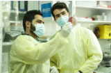 WHO discusses strategies to integrate antimicrobial stewardship and infection control in primary (…)