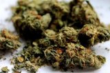 Ashaiman court remands four over possession of Indian hemp