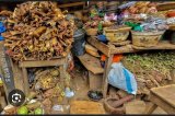Traditional Medicine Practice Council alarmed by increasing number of quacks in the sector