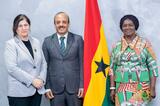 Veep Opoku-Agyemang commends outgoing Palestinian Ambassador for distinguished service to Ghana