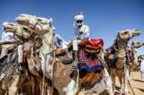Sahara celebrates desert cultures at Chad festival