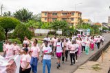 Trudy Arnold Foundation leads 7km health walk to raise awareness on breast cancer