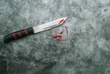 Final-year Wa Amass student stabbed by colleague, in critical condition