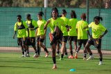 WAFCON 2024: Black Queens have the quality to beat all teams – Bjorkegren