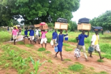 First-year SHS students to report to school on October 18 – GES