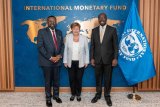 Reduce interventions in the forex market – IMF to Bank of Ghana
