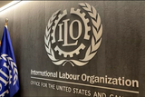 ILO reaffirms its leading role in promoting decent work and social justice worldwide