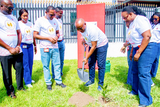 Driving sustainability: Zenith Bank joins BoG for Cedi@60 tree planting exercise