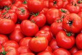 Ghana plans to produce up to 300,000 metric tonnes of dry season tomatoes in 3 years – Deputy Agric Minister
