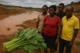 Eating Fruits and Vegetables in the Era of Galamsey