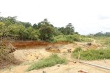 WNR: Lands Minister raises alarm over massive forest loss to galamsey