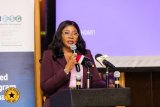 BoG Dep. Gov. urges financial sector to look beyond profits, embrace sustainable lending in (…)