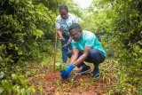 Prudential Bank staff plant trees to support ‘Tree for Life Restoration Initiative’