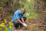 We are committed to a ‘Green Ghana’ – Prudential Bank MD