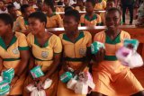Ho Central MP organises debate among schools to mark International Day of the Girl Child