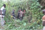 Missing farmer found dead in stream at Kpale-Xorse