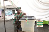 EC sets September 2 for Akwatia by-election