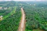 Gold Fields invests GH¢63m in Samahu–Pepesa road rehabilitation project