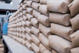 Parliament takes steps to protect local cement industry from foreign influx