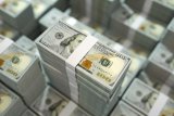 Dollarisation isn’t just a bad habit, it’s a symptom of deeper weaknesses – Analyst