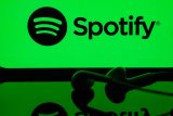 Spotify finally adds lossless audio to its platform