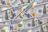 BoG sells US$243 million in FX forward auction, highest since beginning of 2025