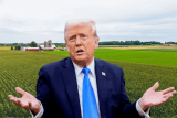 US farmers are being squeezed – and it’s testing their deep loyalty to Trump