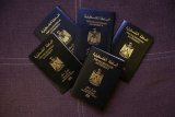 US tells diplomats to refuse most visas for Palestinian passport holders