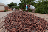 COCOBOD Board waives sitting allowances to support sector reforms