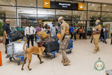 NACOC steps up K9 Operations at Kotoka International Airport to curb drug trafficking