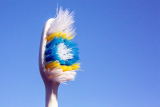 Your toothbrush is bristling with bacteria – is it time to change it?