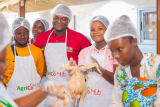 Agrico Hub is quietly rewriting the rules of startup support in the Bono East Region