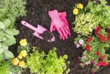 Eight simple tips to wrap up your summer garden