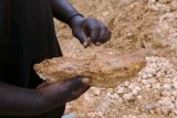 Ghana has lost $11bn to gold smuggling, links to UAE, report finds