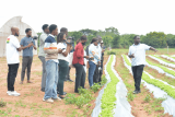 MTN Ghana Foundation inspects progress of Vegetable Centre of Excellence at UG