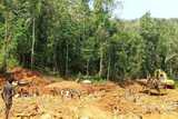 Govt revokes L.I 2462 to ban mining in forest reserves