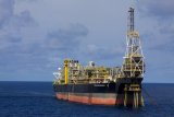 Don’t extend petroleum licenses of Tullow – IEA appeals to Gov’t