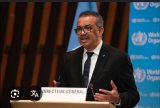 Africa needs fair tariffs not charity – WHO Director-General