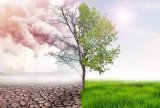 World Environment Day: Stakeholders urge collaborative effort for sustainable ecosystem restoration