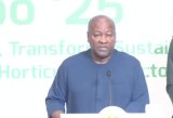 5.3% Q1 GDP growth a good sign – Mahama