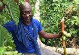 Running a cocoa farm is a business; we don’t work for the government – Nana Aduna II