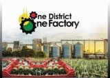 Government cancels Akufo-Addo’s 1D,1F programme