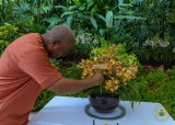 Mahama honoured with orchid hybrid in Singapore [Photos]